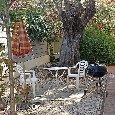 Le Des Palmiers شقة *