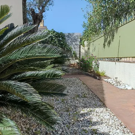 Le Des Palmiers Appartamento