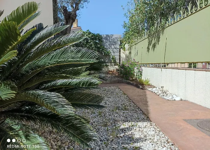 Le Des Palmiers Appartement